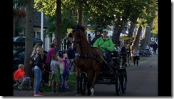 Ameland 2015-07-31 (15)