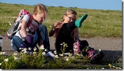 Ameland 2015-08-05 (13)