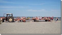 Ameland 2015-08-03 (13)